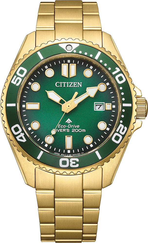 Citizen Promaster 41mm BN0262-59W