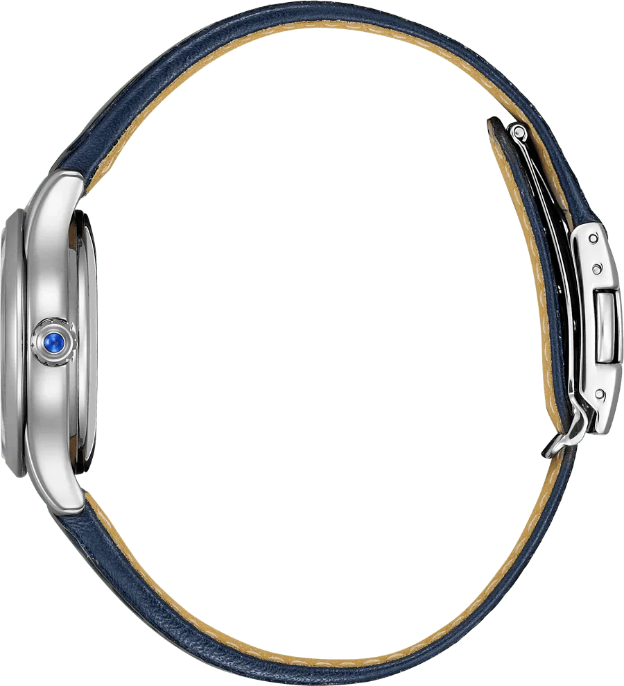 Citizen Automatic 29mm PR1041-18N - Image 3